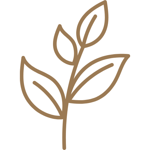 logo feuille beige fond transparent